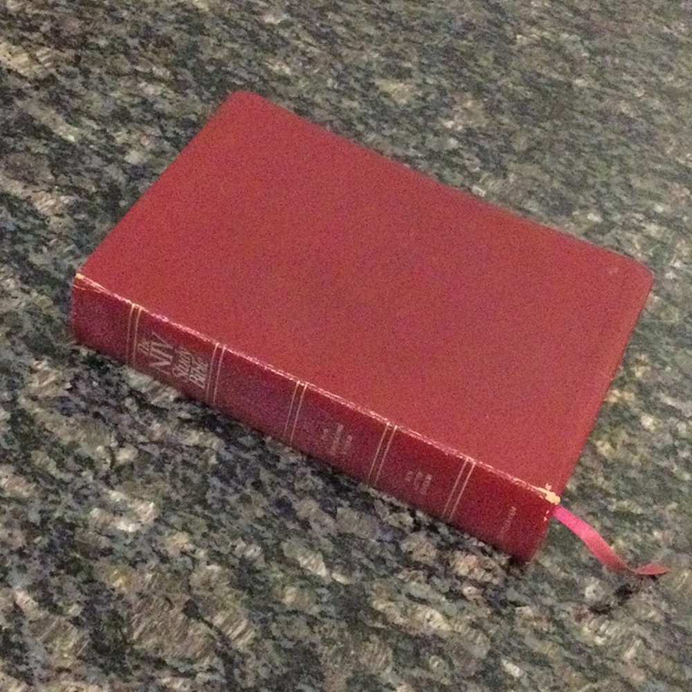 The NIV* Study Bible